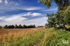 www.kral-production.cz