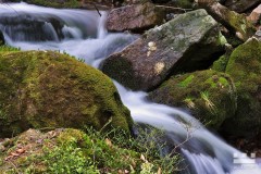 www.kral-production.cz