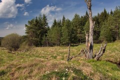 www.kral-production.cz
