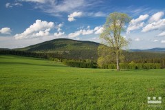 www.kral-production.cz