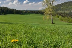 www.kral-production.cz