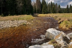 www.kral-production.cz