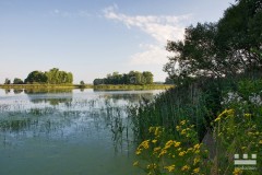 www.kral-production.cz