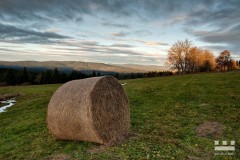 www.kral-production.cz