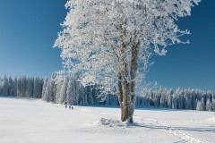 www.kral-production.cz