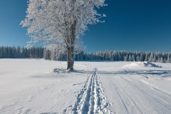 www.kral-production.cz