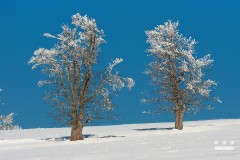 www.kral-production.cz