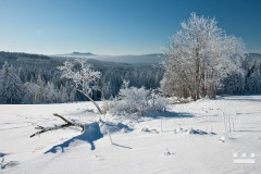 www.kral-production.cz