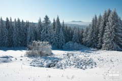 www.kral-production.cz