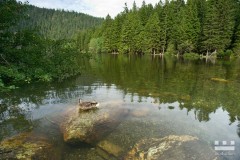 www.kral-production.cz