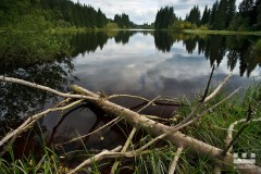 www.kral-production.cz