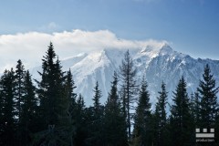 www.kral-production.cz