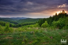 www.kral-production.cz