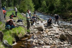 www.kral-production.cz