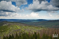 www.kral-production.cz