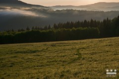 www.kral-production.cz