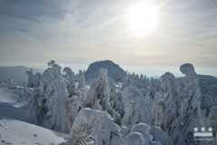 www.kral-production.cz