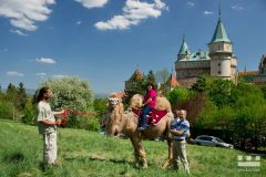kral-production.cz