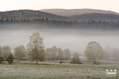 www.kral-production.cz