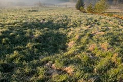 www.kral-production.cz