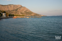dsc02531