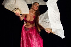 DSC07187