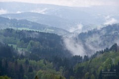 DSC09309