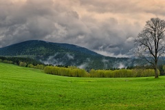Panorama
