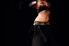 DSC00009
