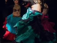 DSC05257