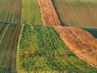 DSC01406