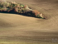 DSC01464