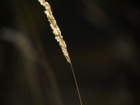DSC01493