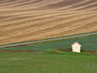 DSC01592
