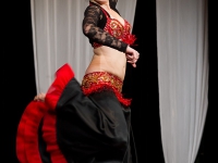 DSC04446