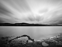 DSC08522_BW