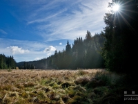 DSC09085