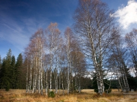 DSC09100