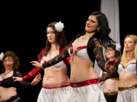 DSC01531.jpg