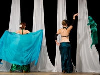 DSC01553.jpg