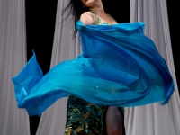 DSC02473.jpg