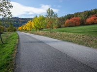 DSC09796