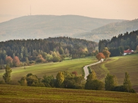 DSC09798