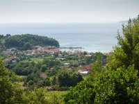 DSC05825