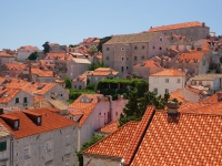 DSC05929
