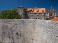DSC05968