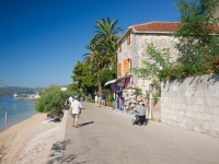 DSC06081