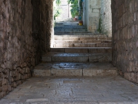 DSC06147
