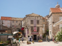 DSC06170