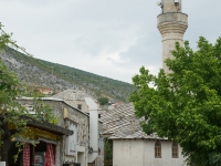 DSC06270